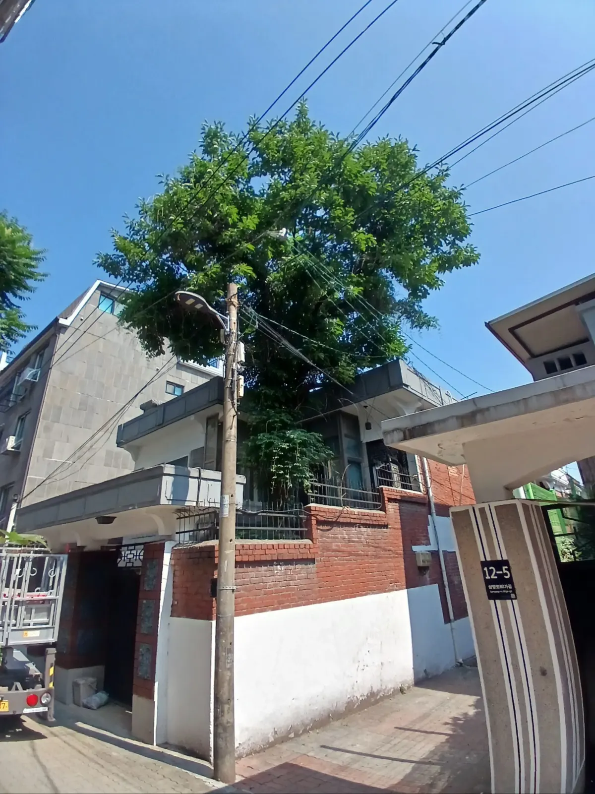 강북구 전기줄 인접 감나무 제거 작업 현장