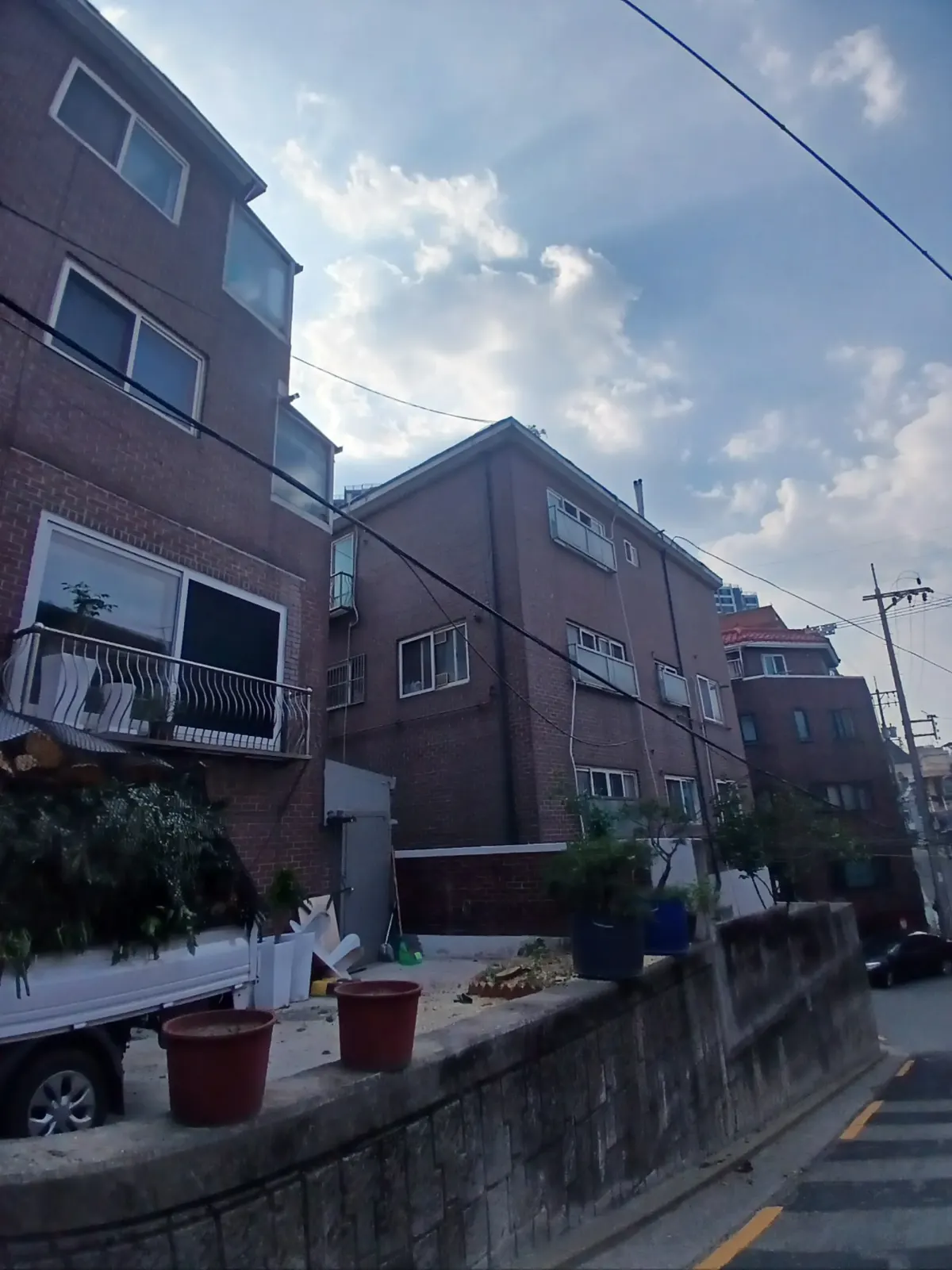 종로구 빌라 화단 감나무제거 작업 완료 후 정리된 모습