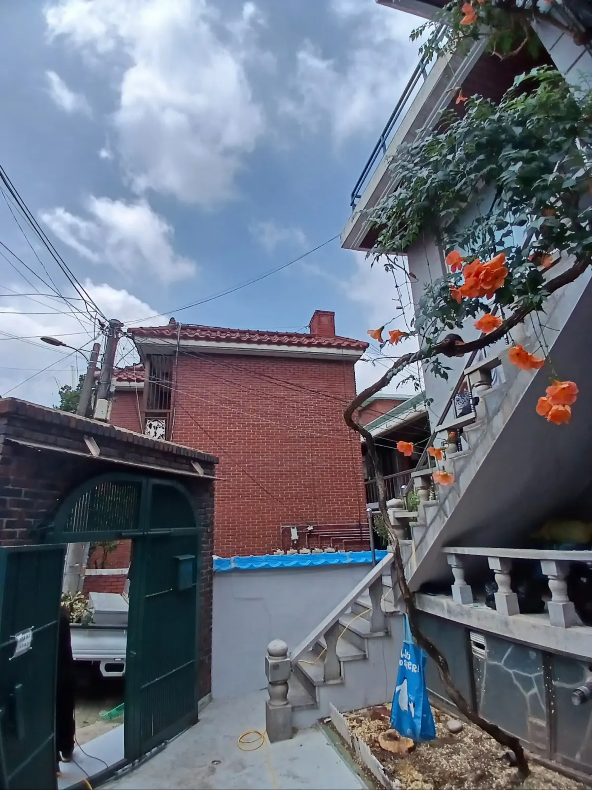 광주 개인주택 마당 감나무자르기 작업 완료 후 정리된 모습